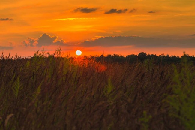 Літній вечір на Волині. ФОТО