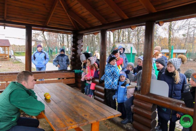 Як малеча в луцькому зоопарку ведмедика «лікувала». ФОТО