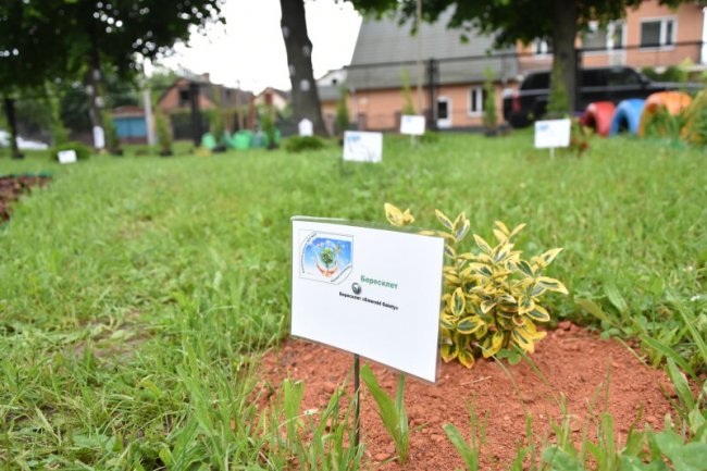 Вихованці луцького дитсадка тепер мають свій «Казковий світ рослин». ФОТО