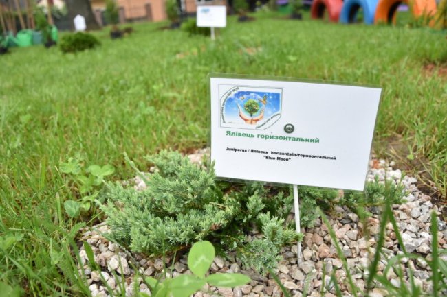 Вихованці луцького дитсадка тепер мають свій «Казковий світ рослин». ФОТО