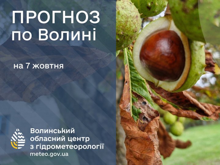 Якою буде погода у Луцьку та на Волині у вівторок, 7 жовтня
