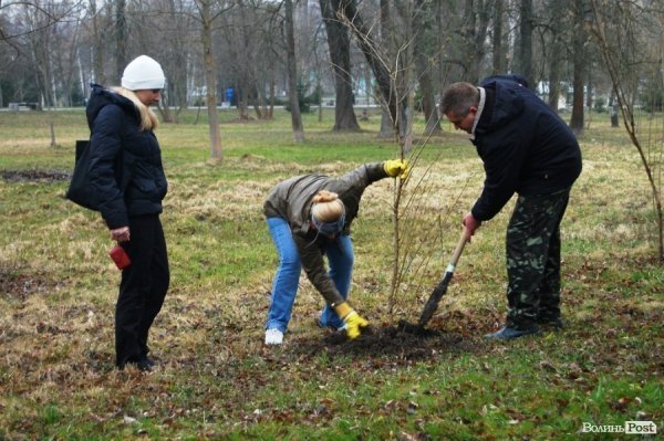 У Центральному парку Луцька чиновники і молодь садили дерева