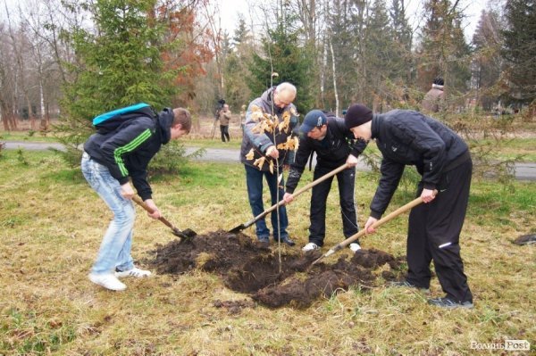 У Центральному парку Луцька чиновники і молодь садили дерева