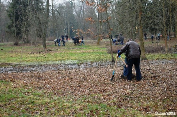 У Центральному парку Луцька чиновники і молодь садили дерева