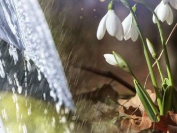 Погода в Луцьку та Волинській області на завтра, 14 березня