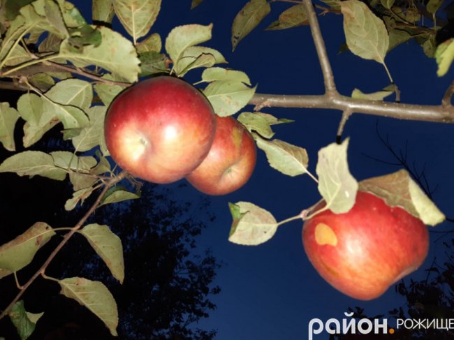 Місто на Волині восени: жовто-багряна краса. ФОТО