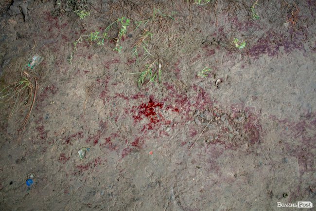 Сумна історія з-під луцького мосту: на березі Стиру «зачаїлися» купи сміття