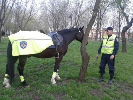 Тисячі українців збираються на мітинг в Донецьку
