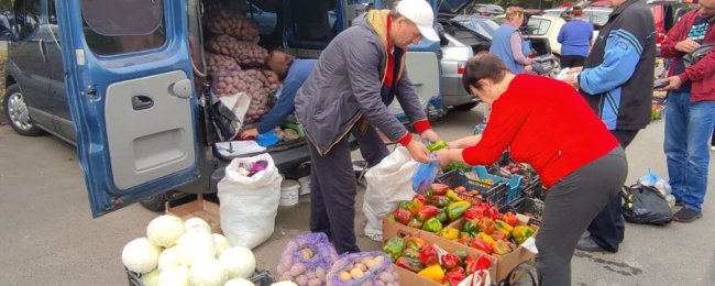 Чому на Волині дорожчають сезонні овочі. ВІДЕО