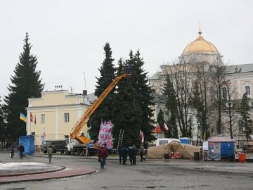 Головні ялинки Луцька почали прикрашати. ФОТО