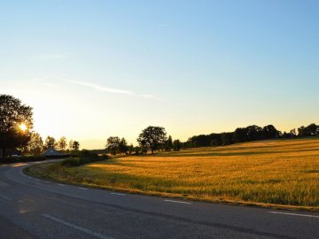 Погода у Луцьку та Волинській області на завтра, 15 липня