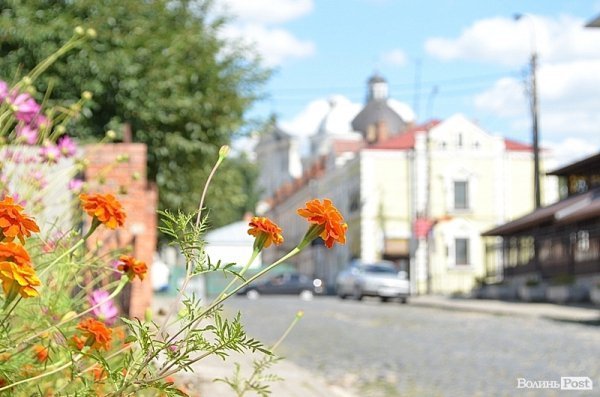 Місто, яке я люблю. Квіти Луцька