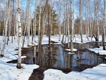 Погода в Луцьку та Волинській області на вівторок, 7 березня
