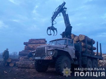 На волинському підприємстві під час обшуку знайшли понад 100 «кубів» незаконного лісу