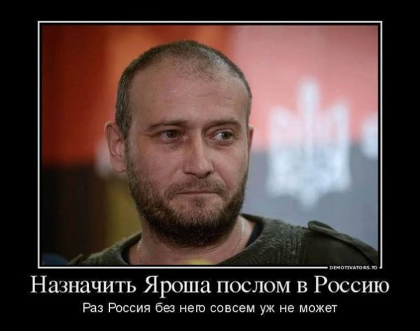 Як інтернет реагує на результати виборів. ФОТО