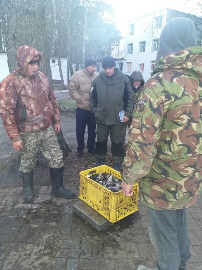 В озеро у Шацькому районі випустили майже тонну риби. ФОТО
