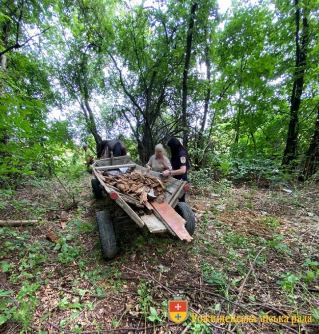 «Не знали, куди дівати»: волиняни викинули сміття у лісосмугу. ФОТО