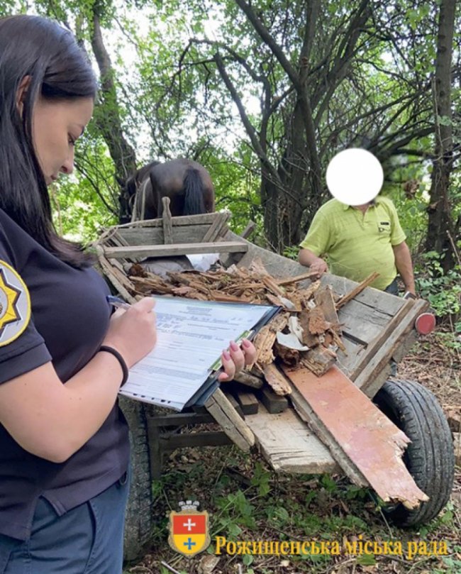 «Не знали, куди дівати»: волиняни викинули сміття у лісосмугу. ФОТО