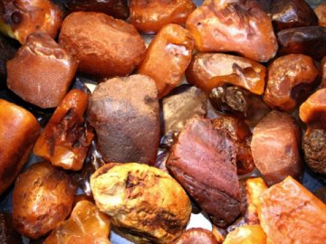 Волинянка ненавмисне видала поліцейським сина, який зберігав бурштин