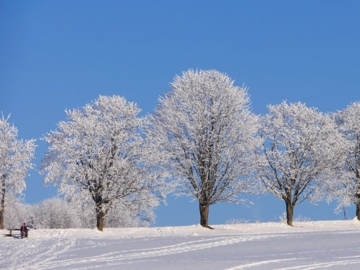Якою буде погода у вівторок, 13 січня, у Луцьку та на Волині