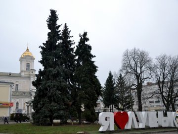 У Луцькраді розповіли про плани щодо ялинок на Театральному майдані