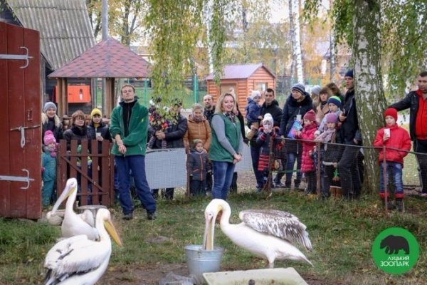 У Луцькому зоопарку відбулось Свято гарбуза. ФОТО