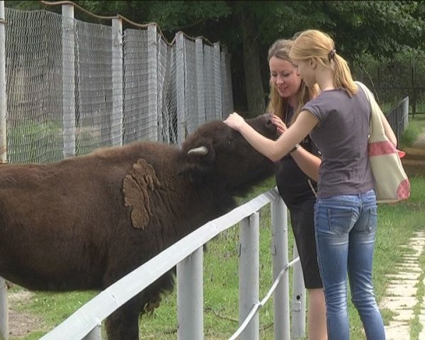  У луцькому зоопарку прогнозують «бебі-бум». ФОТО. ВІДЕО