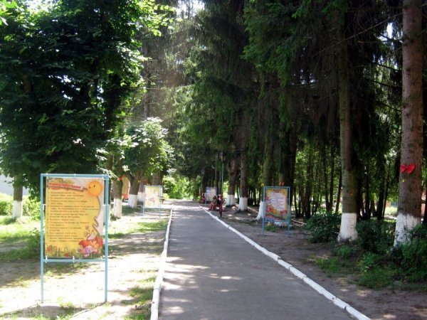 Табір «Сонячний» відкрив оздоровчий сезон для дітей. ФОТО