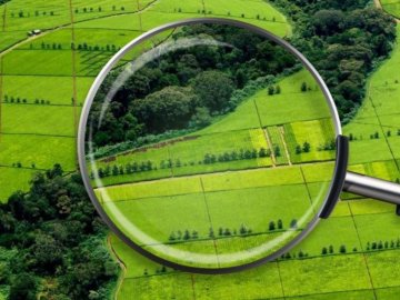 Місто втратить 130 мільйонів за рік: Луцьк звернувся до уряду через бездіяльність Держгеокадастру 