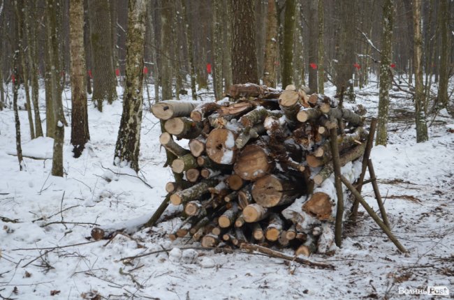 Штабель деревини