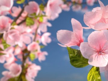 Погода у Луцьку та Волинській області на суботу, 22 травня