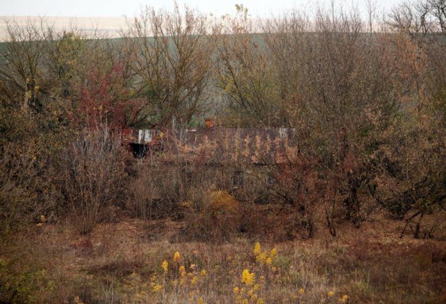 Осінні пейзажі Волинської височини: неймовірні фото