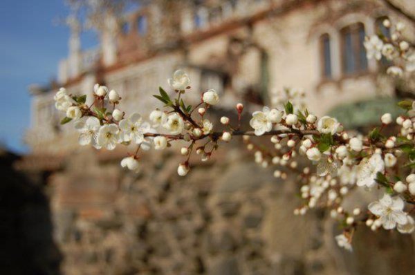 До Микитовича прийшла весна. Фото: Роман Домбровський