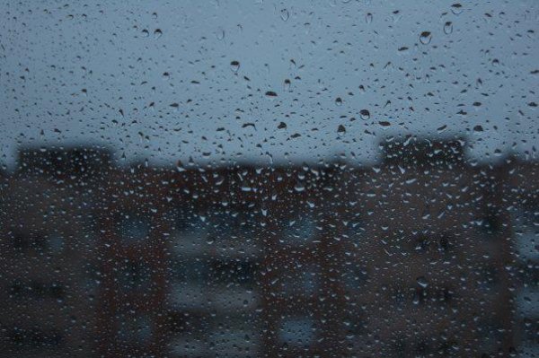 Дождь очистил всё, и душа, захлюпав, Вдруг размокла у меня. Фото: Роман Домбровський