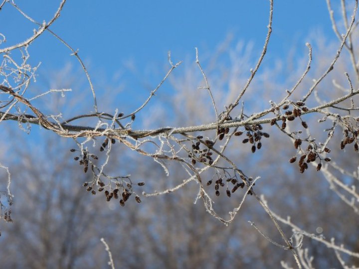 До 29 градусів морозу на Волині: погодні підсумки січня 