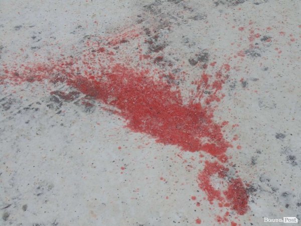 У Луцьку завадили провести урочистості «на крові». ФОТО. ВІДЕО