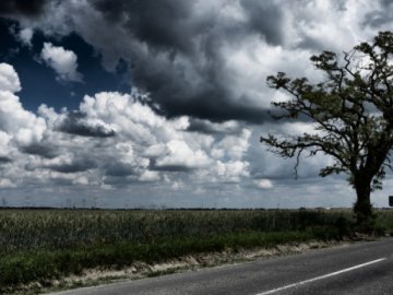 Погода в Луцьку та Волинській області на суботу, 7 серпня