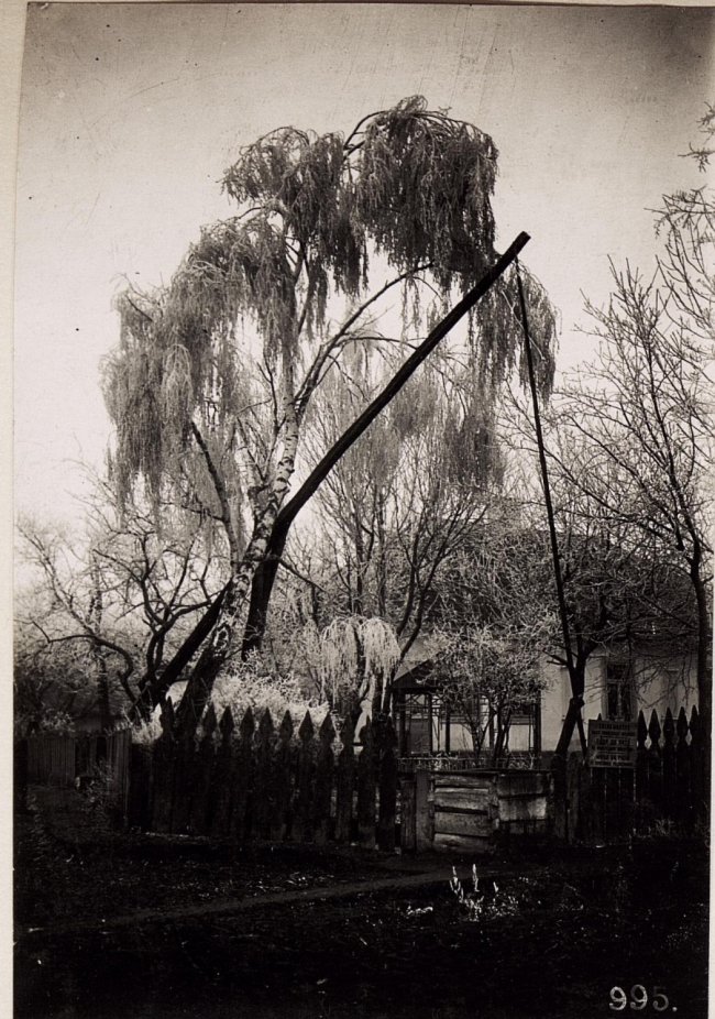 Зимові панорами Волині на столітніх фото