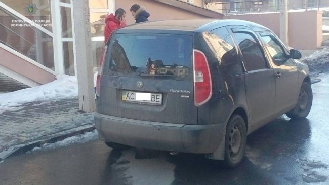 Аварії за участі маршруток і тролейбуса: автопригоди у Луцьку