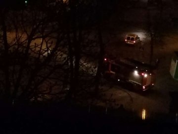 У Луцьку горіли смітники: викликали пожежників та поліцію. ФОТО