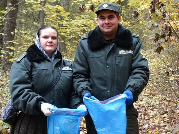 У волинських лісах – санітарний день. ФОТО