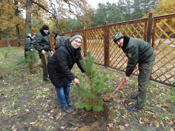 У волинських лісах – санітарний день. ФОТО