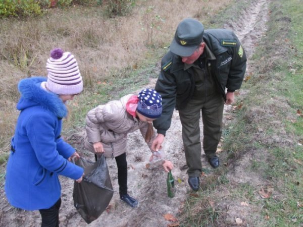 У волинських лісах – санітарний день. ФОТО
