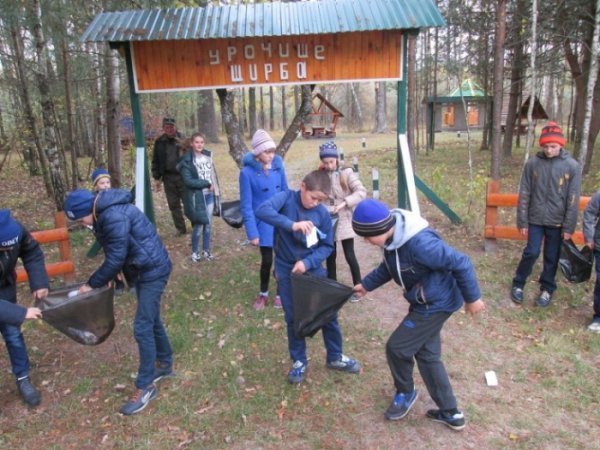 У волинських лісах – санітарний день. ФОТО