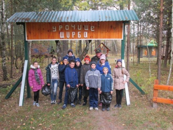 У волинських лісах – санітарний день. ФОТО