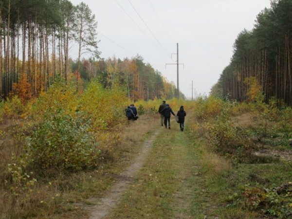 У волинських лісах – санітарний день. ФОТО