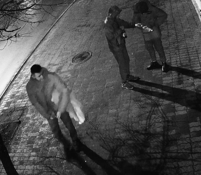 У Володимирі молодики поцупили святкову інсталяцію-гнома. ФОТО