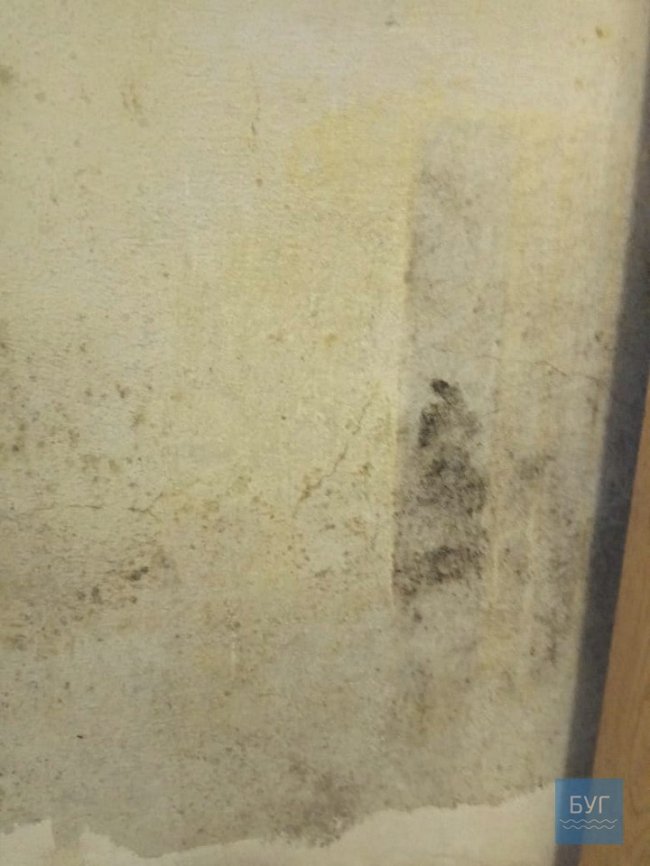 Вічний ремонт: волинянка понад 14 років потерпає від горе-сусідів