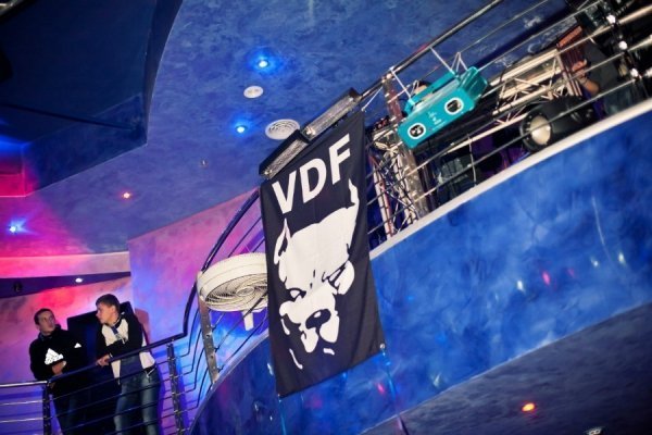 Символ луцької футбольної фірми (банди) VDF - пітбуль на чорному фоні