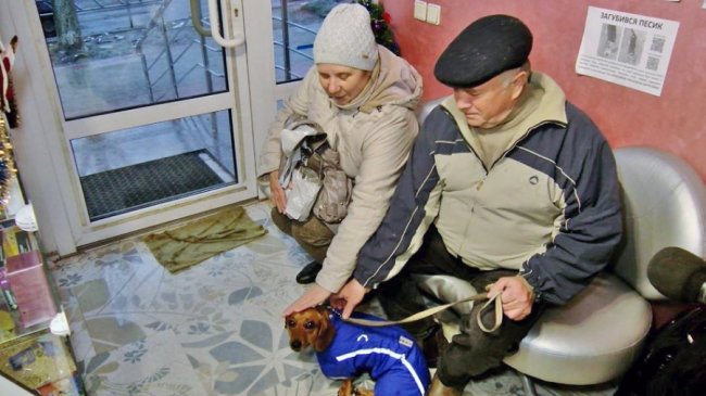 Херсонець у Луцьку відкрив ветеринарну клініку. ФОТО. ВІДЕО